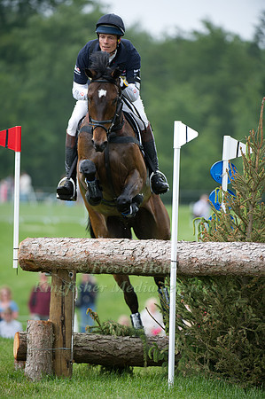 William Fox-Pitt & Lionheart