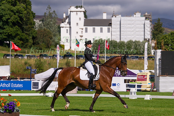 MEGAN  HEATH (NZL) RIDING CAMELOT