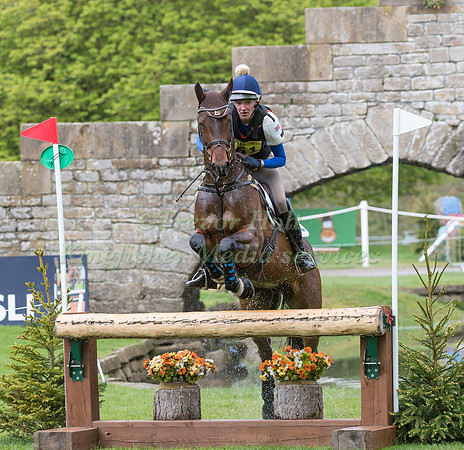 LAURA COCKING AND  QUANTI DU VI