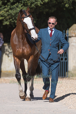 MICHAEL OWEN (GBR) AND  BRADELEY LAW