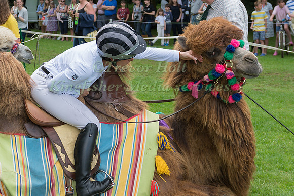 BETTINA HOY STROKES HER MOUNT BEFORE TAKING PART IN THE CAMEL RACING AT THE 2017 HOUGHTON INTERNATIONAL HORSE TRIALS