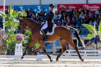 Dressage