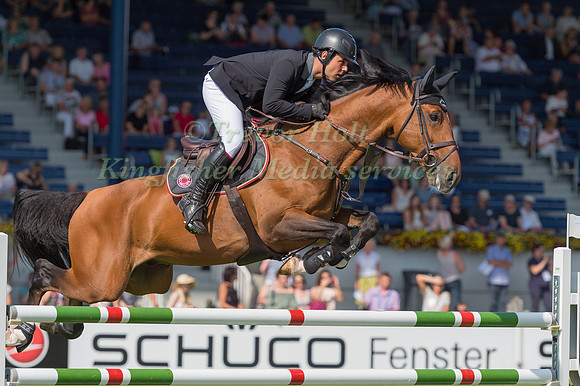SERGIO ALVAREZ MOYA AND G& C WOLF_