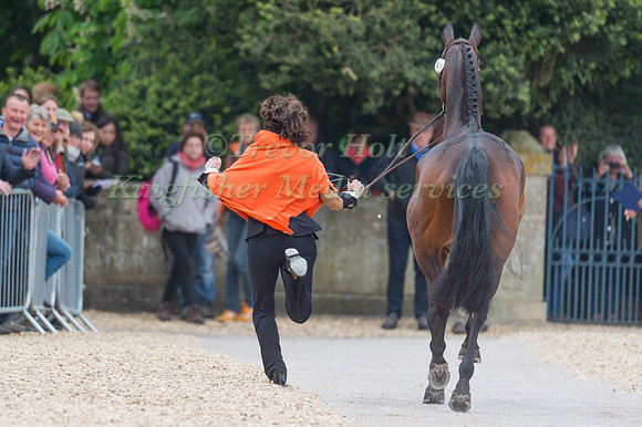 Alice Naber-Lozeman (NL) and ACSI Harry Belafonte at the Final  Horse Inspection of the 2017 Mitsubishi Motors Badminton Horse Trials