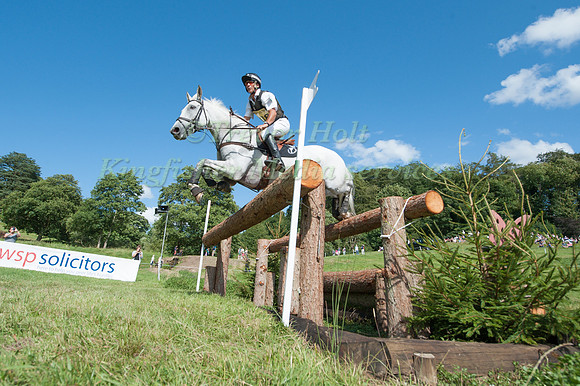 Andrew Nicholson and Avebury