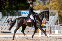 DAVID DOEL (GBR) AND GALILEO NIEUWMOED