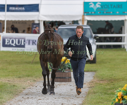 OLIVER TOWNEND  AND ARKLOW PUISSANCE