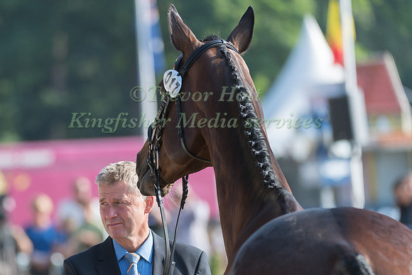 ANDREAS DIBOWSKI (GER) AND FRH LLANERO