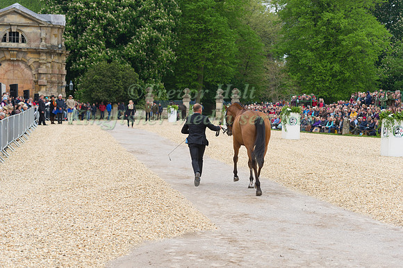 Michael Jung (GER) and La Biosthetique Sam FBW at the Final  Horse Inspection of the 2017 Mitsubishi Motors Badminton Horse Trials