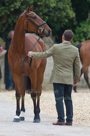 Austin O'Connor (IRL) and Kilpatrick Knight at the Final  Horse Inspection of the 2017 Mitsubishi Motors Badminton Horse Trials