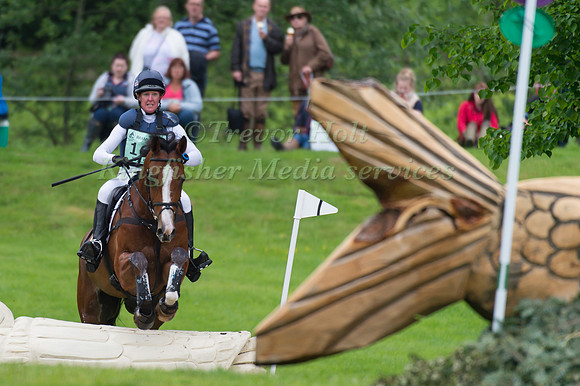 Nicola Wilson (GBR) riding One Two Many