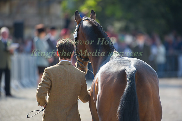 Harry Meade and Wild Lone