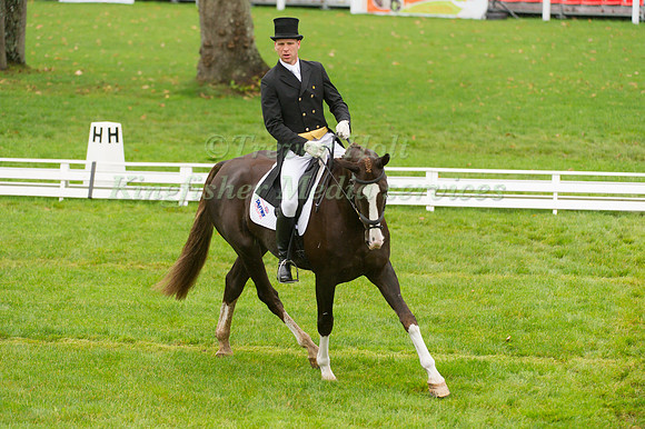 Nick Gauntlett and The Court Jester