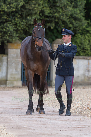 Pietro Sandei (ITA) and  Rubis de Prere