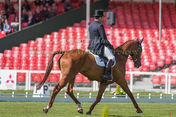 Michael Ryan of Ireland riding Ballylynch Adventure