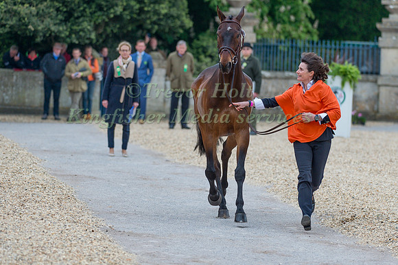 Alice Naber-Lozeman (NL) and ACSI Harry Belafonte at the Final  Horse Inspection of the 2017 Mitsubishi Motors Badminton Horse Trials