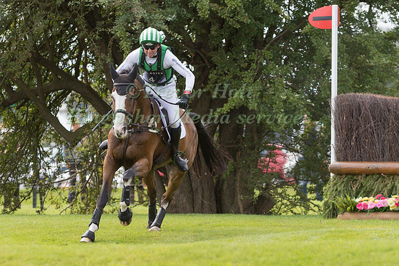 MICHAEL OWEN (GBR) AND BRADELEY LAW