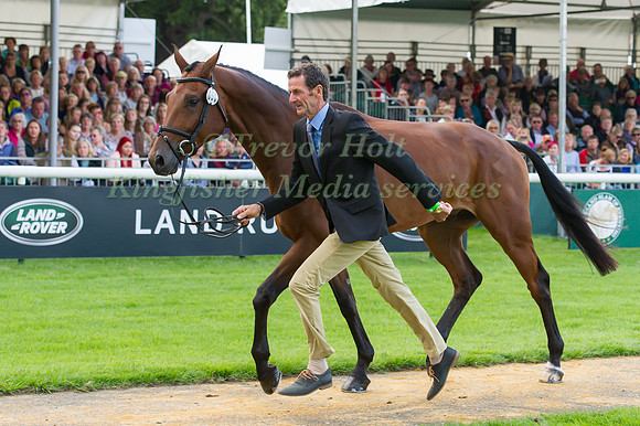 Mark Todd (NZL) and  Leonidas II