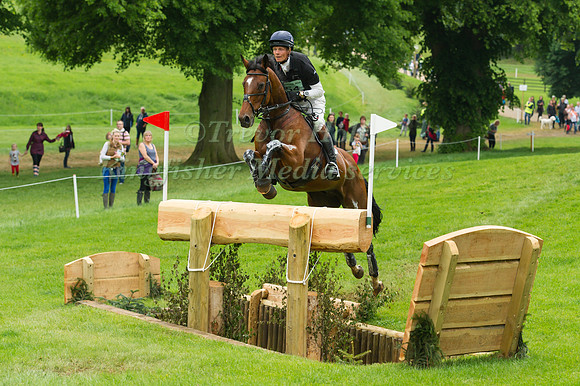William Fox-Pitt (GBR) riding Parklane Hawk