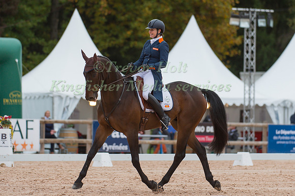 Alice Naber-Lozeman of the Netherlands riding Harry Belafonte