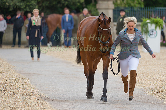 Gemma Tattersall (GBR) and Arctic Soul at the Final  Horse Inspection of the 2017 Mitsubishi Motors Badminton Horse Trials