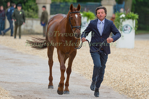 Dan Jocelyn (NZL) and Dassett Cool Touch at the Final  Horse Inspection of the 2017 Mitsubishi Motors Badminton Horse Trials