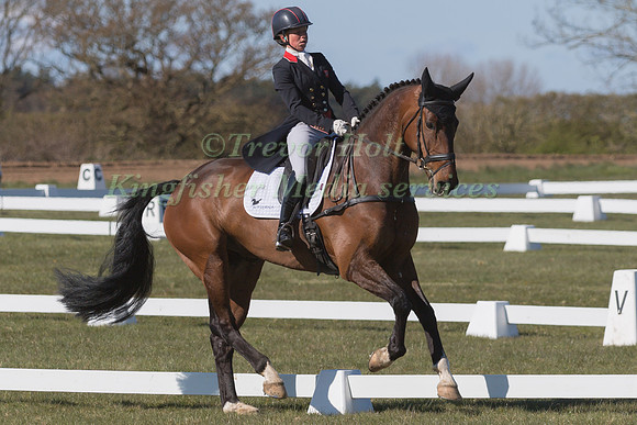 ROSALIND CANTER RIDING REHY ROYAL DIAMOND