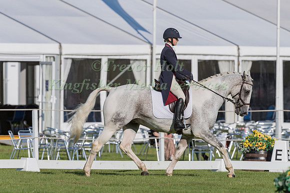 CHARLOTTE WHITTLE  AND LOWMOOR SUPERSTAR