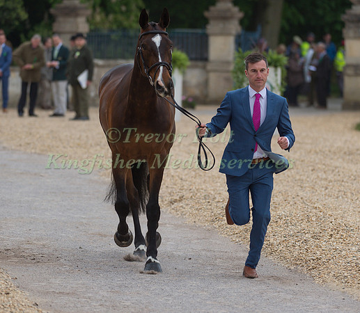 Ciaran Glynn (IRL) and November Night at the Final  Horse Inspection of the 2017 Mitsubishi Motors Badminton Horse Trials
