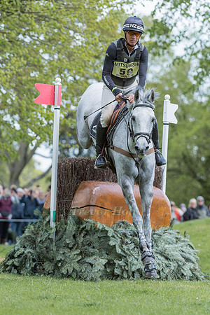 Andrew Nicholson (NZL) and  Swallow Springs
