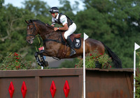 Andrew Nicholson and Calico Joe