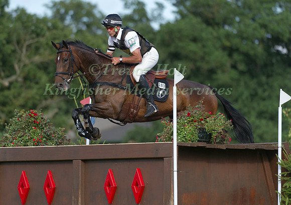 Andrew Nicholson and Calico Joe
