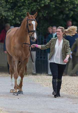 Clare Abbott (IRL) and Euro Prince at the Final  Horse Inspection of the 2017 Mitsubishi Motors Badminton Horse Trials