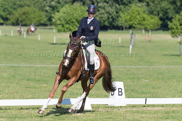 FLORA HARRIS (GBR) RIDING BILLY BANDIT IN THE DRESSAGE PHASE OF THE CICO THREE STAR AT THE 2017 HOUGHTON INTERNATIONAL HORSE TRIALS