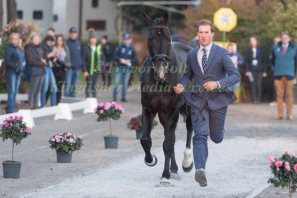 DAVID DOEL AND GALILEO NIEUWMOED