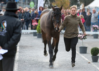 Emilie CHANDLER  (GBR) AND COOPERS LAW