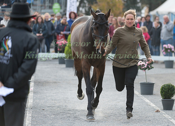 Emilie CHANDLER  (GBR) AND COOPERS LAW