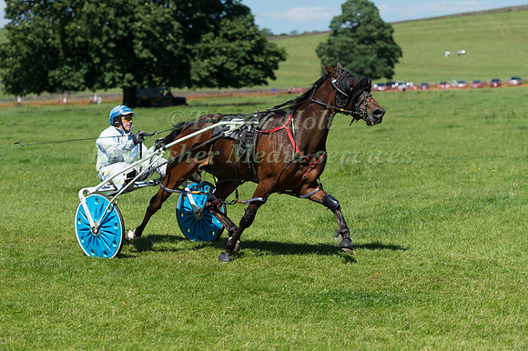 Harness racing at Helifield , Yorkshire