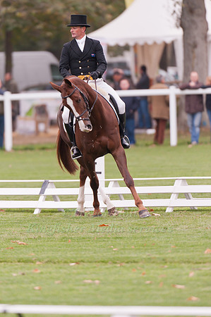 Brook Staples and DHI Vitesse