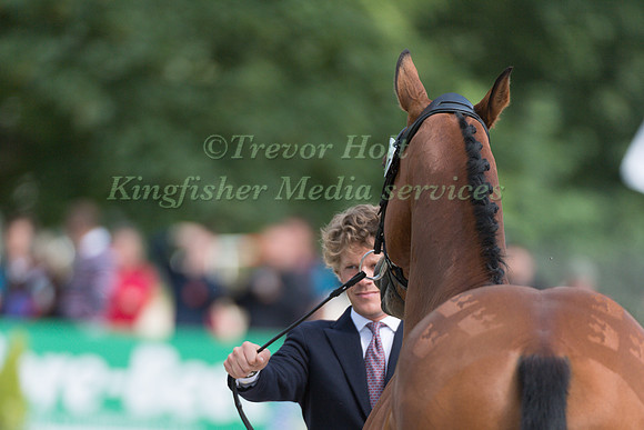 LUDWIG  SVENNERSTAL (SWE) AND STINGER AT THE EQUI-TREK CCI *** FINAL HORSE INSPECTION OF THE 2017 BRAMHAM INTERNATIONAL HORSE TRIALS
