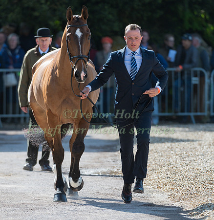 HARRY DZENIS (GBR) AND  DROMGURRIHY BLUE