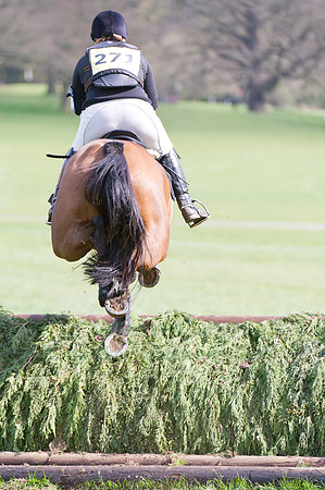 Sam Rippon and Imperial Gem