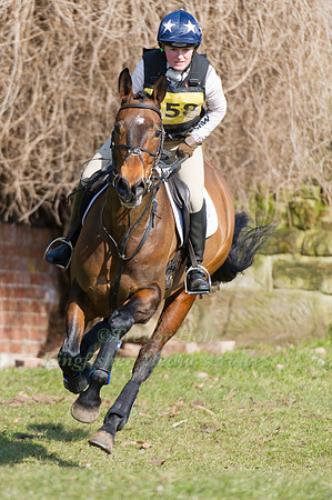 Amelia Scholl and Over the Moon VI