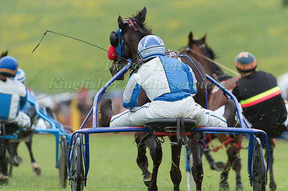 Helifield Harness Racing