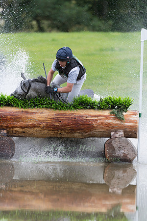 BEN HOBDAY RIDING  SHADOW SEAHORSE