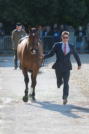 TOM CRISP  (GBR) AND  COOLYS LUXURY