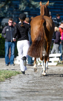 Caroline Powell and Onwards and Upwards
