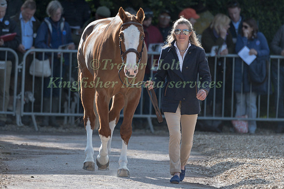 IZZY TAYLOR  (GBR) AND  PERFECT STRANGER
