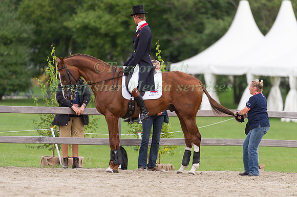William Fox-Pitt and Chilli Morning Prepare for Dressage