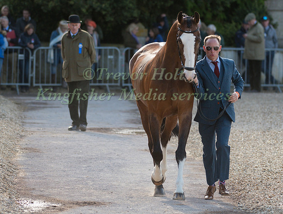 MICHAEL OWEN (GBR) AND  BRADELEY LAW